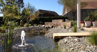 Un havre de paix avec un jet-d'eau à Serres-Castet