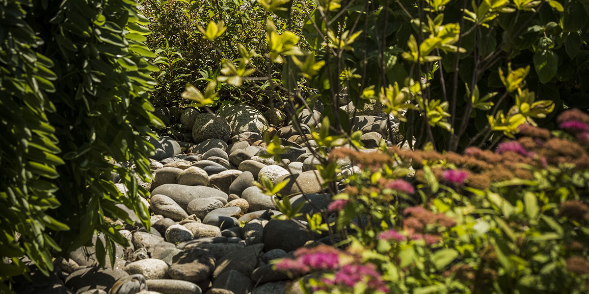 Jardin avec paillage d'un massif à Pau