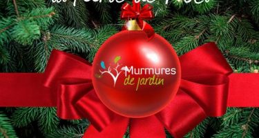 Vivez avec nous la féérie de Noël