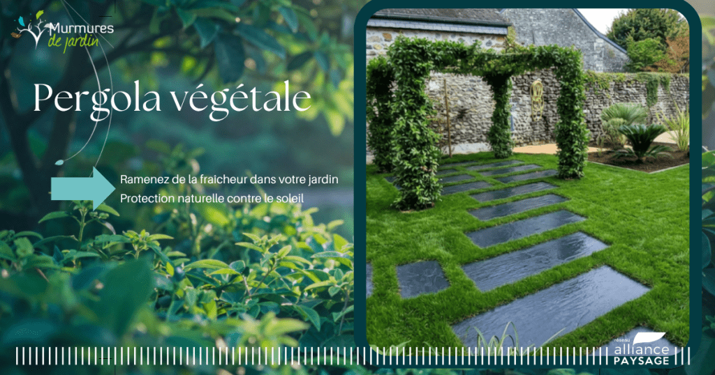 pergola végétale